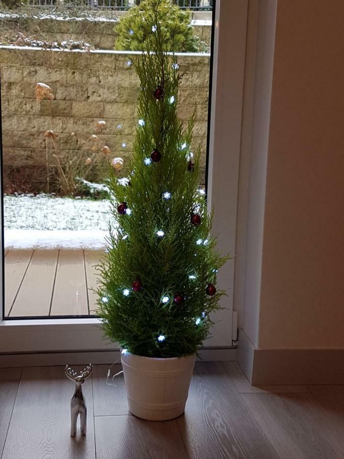 Apartament Z Ogrodem Polanica-Zdrój Eksteriør billede